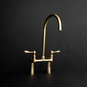 Unlacquered brass bridge faucet – close-up of handle and spout
