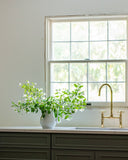 Polished brass bridge faucet with side sprayer – installed in kitchen