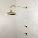 Unlacquered Brass Shower System Shower Systems product photo